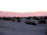 Dunes Vista