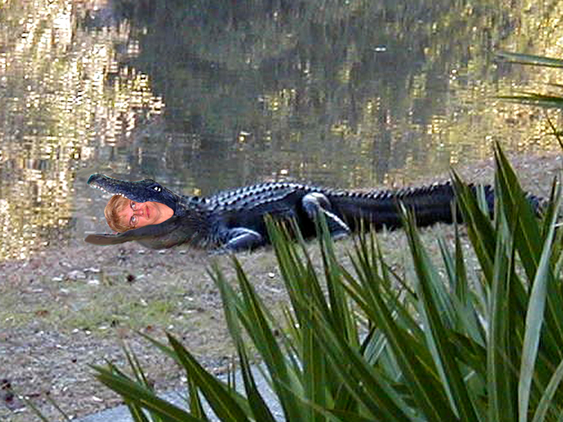 In Gator