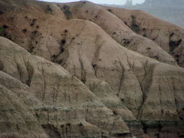 BadlandsRHNDSC02679.jpg