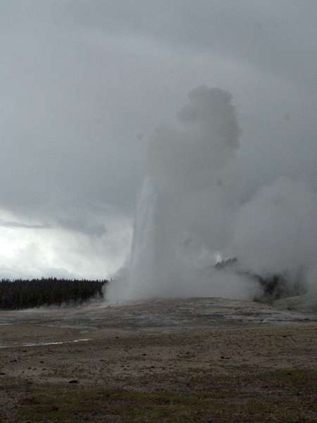 Yellowstone_ART2241.NEF.jpg