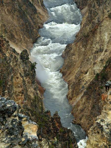 Yellowstone_ART2334.NEF.jpg