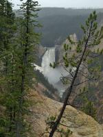 Yellowstone_ART2325.NEF.jpg