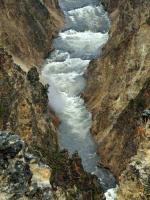 Yellowstone_ART2334.NEF.jpg