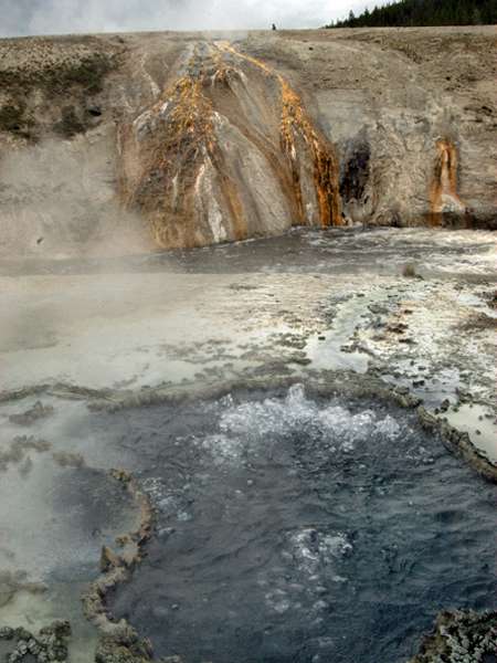 Yellowstone_ART2231.NEF.jpg