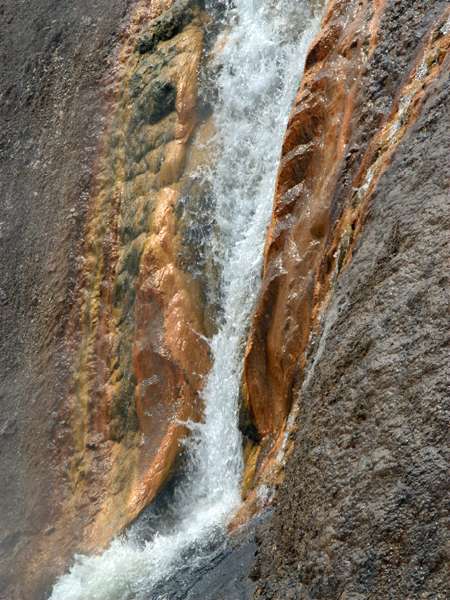 Yellowstone_ART2263.NEF.jpg