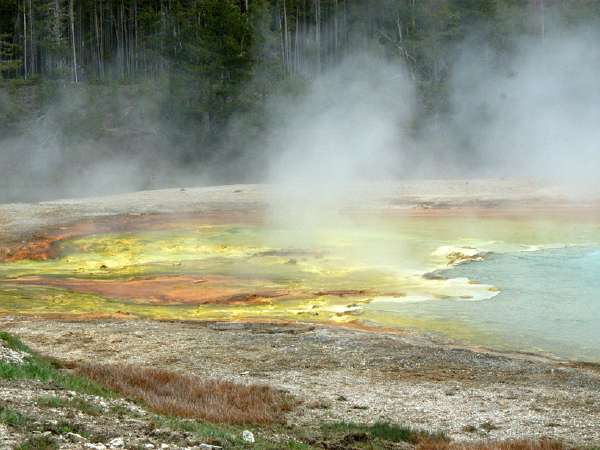 Yellowstone_ART2270.NEF.jpg