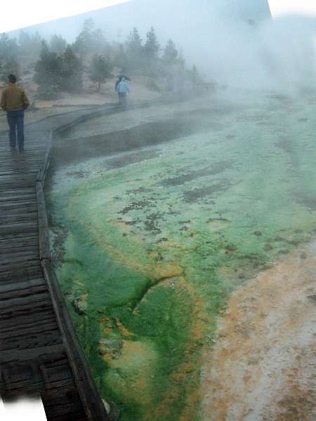 Yellowstone_ART2308.NEF.jpg