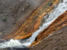 Yellowstone_ART2264.NEF.jpg