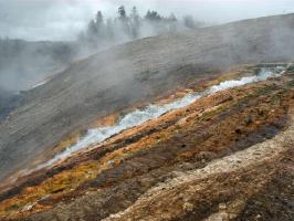 Yellowstone_ART2266.NEF.jpg