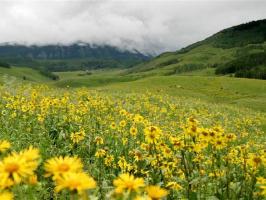 Gunnison0846.jpg