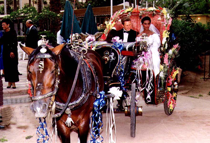 image/flowered_horse_cart.jpg, 115.2K